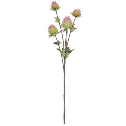 Thistle Spray x 5 Pink image 0