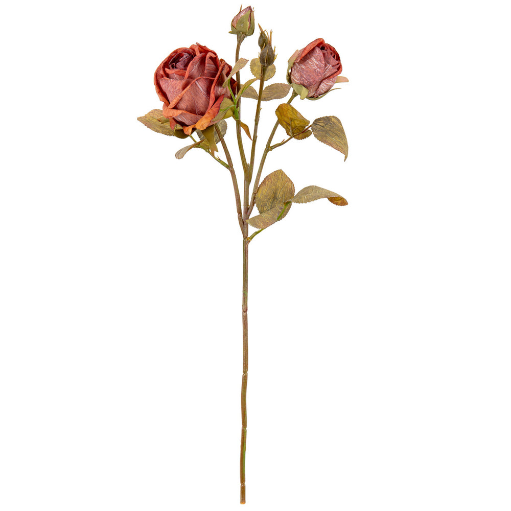 Dry Image Rose Spray Copper Beech image 0