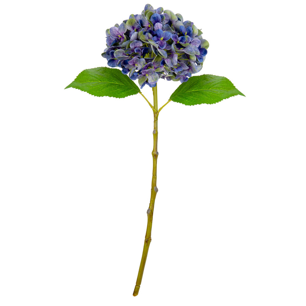 Small Head Hydrangea Purple Green image 0