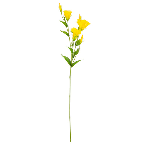 Eleganza Lisianthus Spray x 3 Yellow image 0