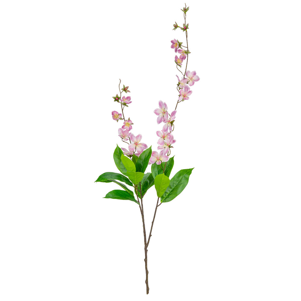 Clematis Spray x 2 Dark Pink image 0