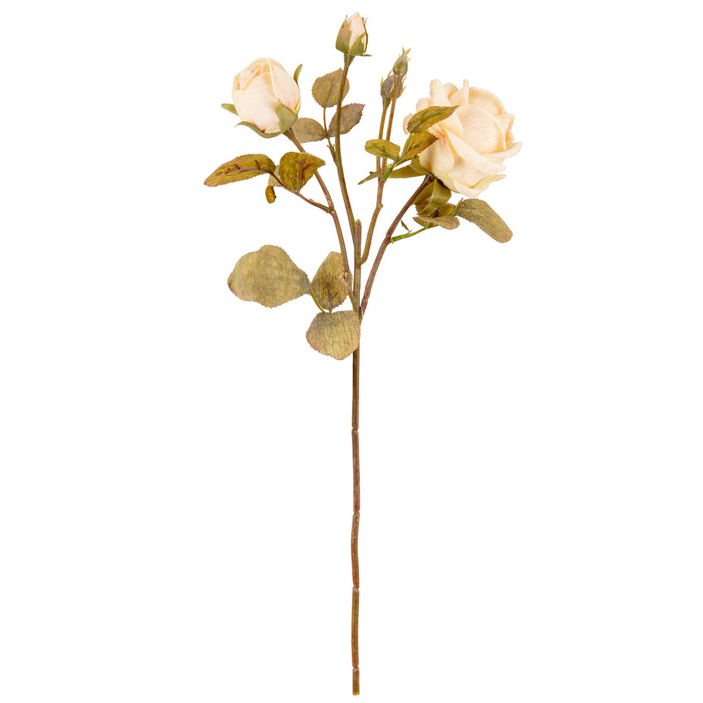 Dry Image Rose Spray Almond Cream image 0