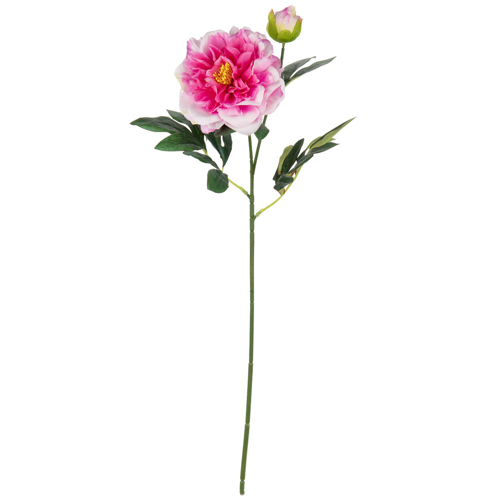 Peony Spray x 2 Cerise image 0