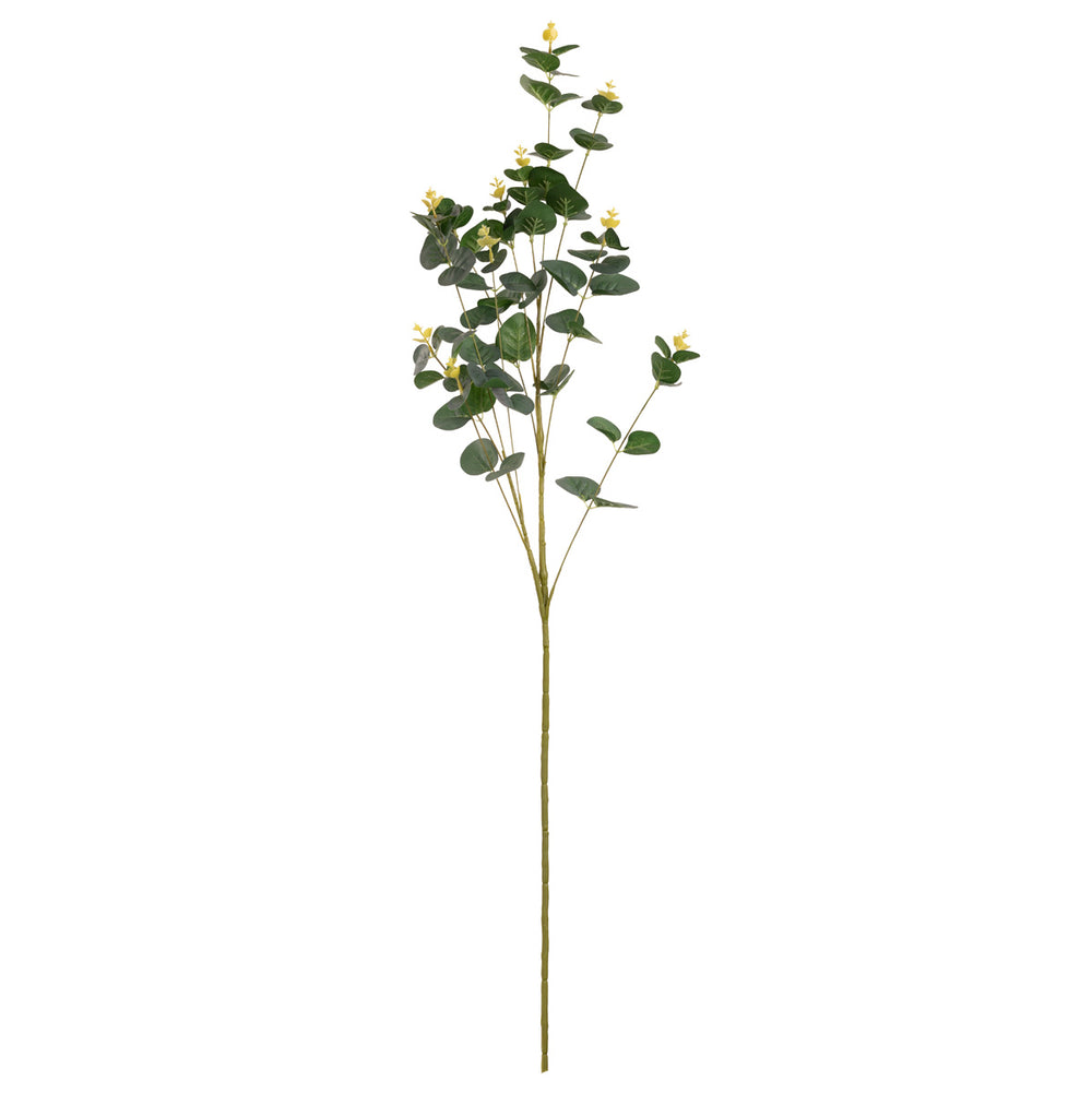 Eucalyptus Stem Green image 0