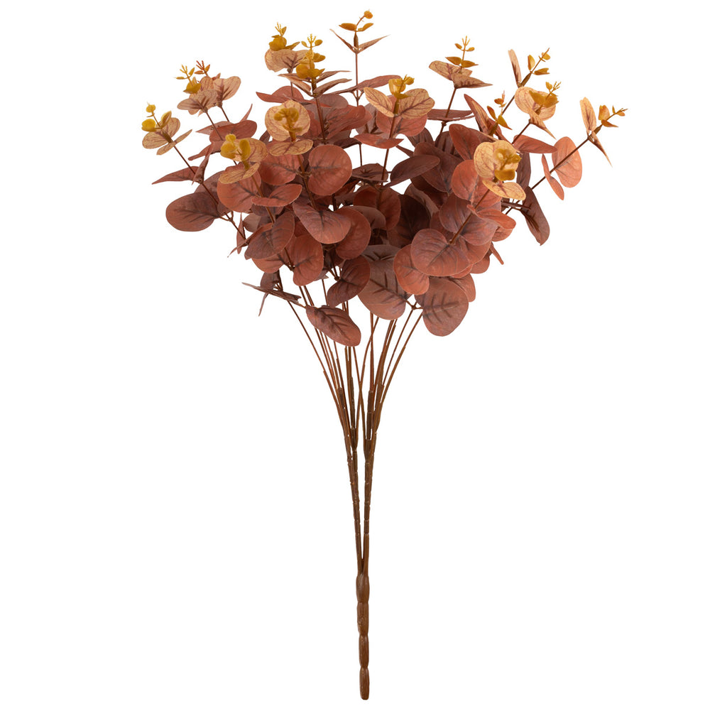 Eucalyptus Bush Brown (16 Heads) image 0