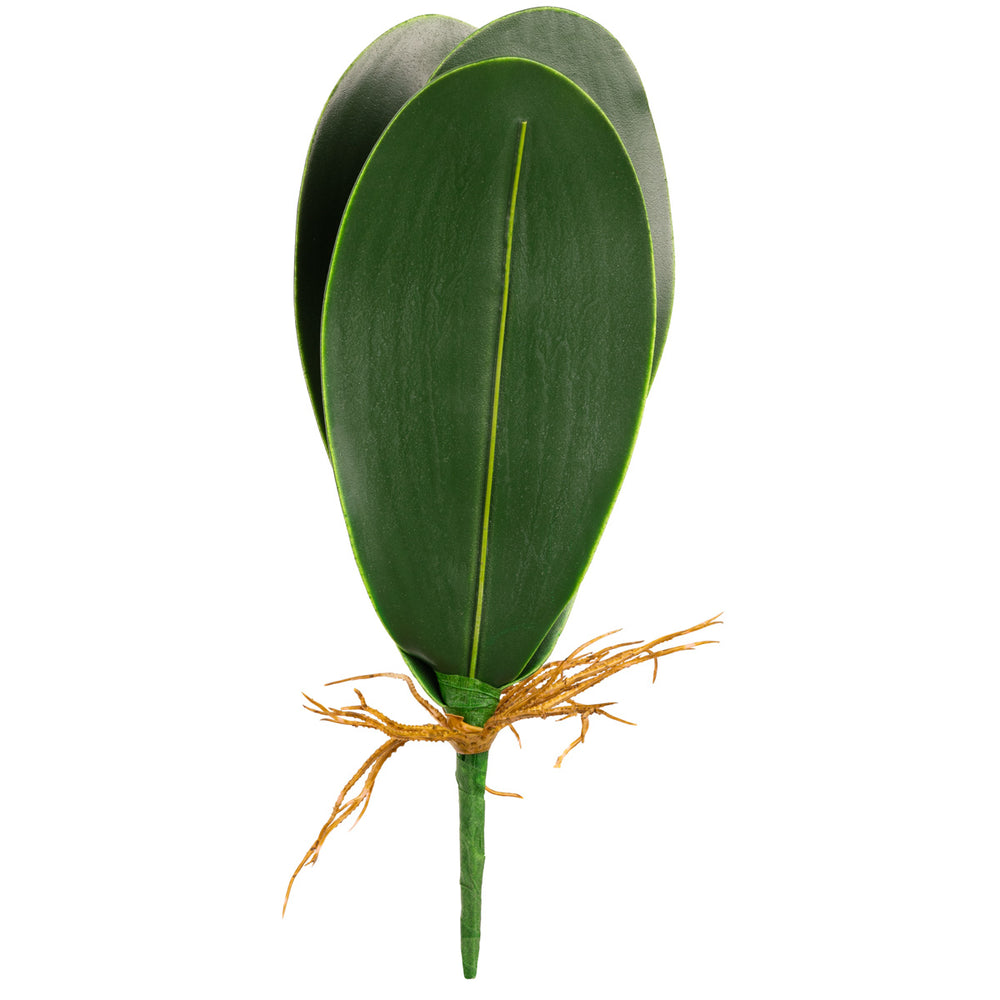 Orchid Leaf Bush image 0