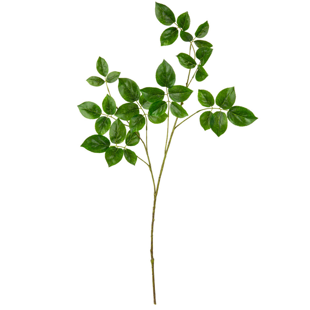 Rose Leaf Spray Green image 0