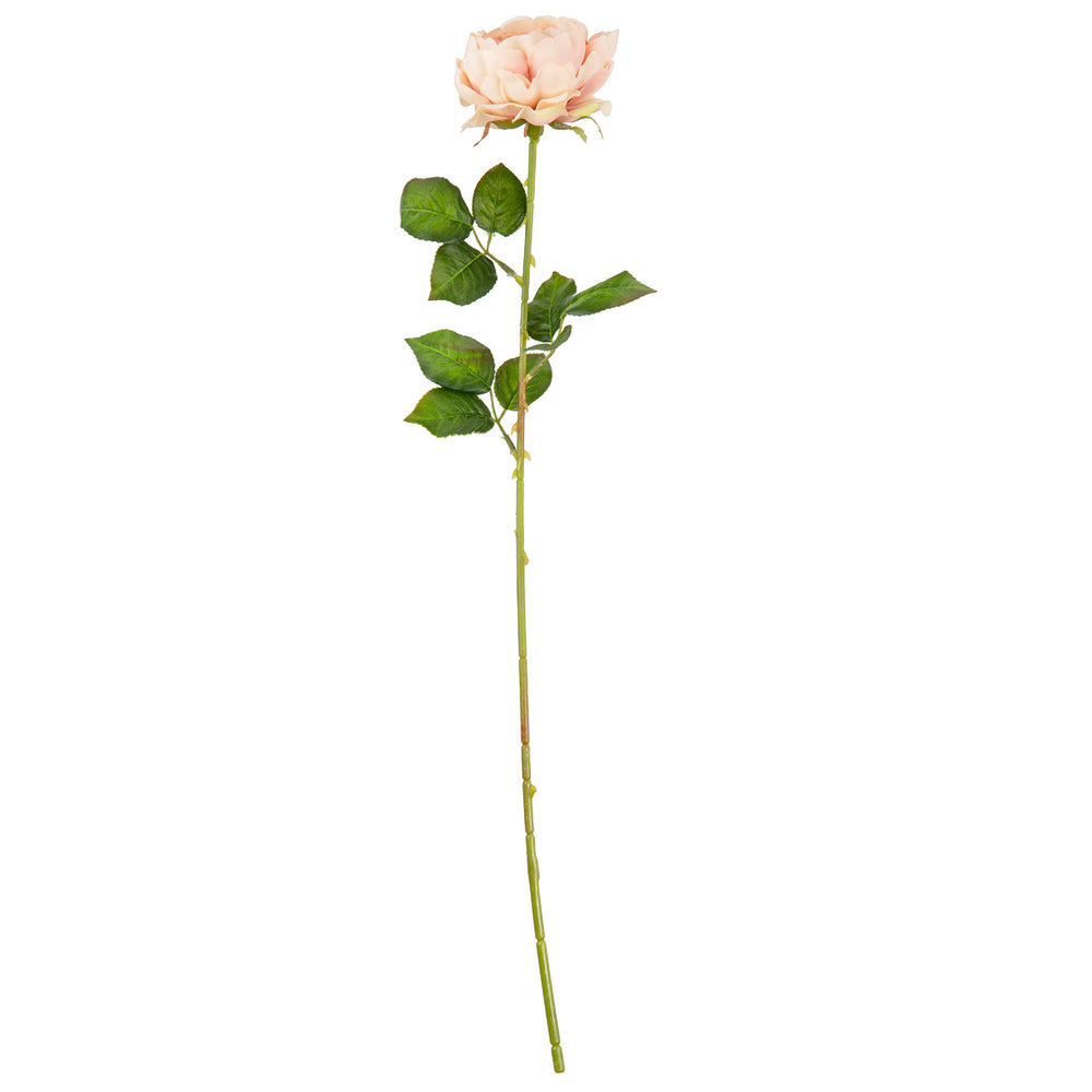 65cm Single Rose Dusky Pink image 0