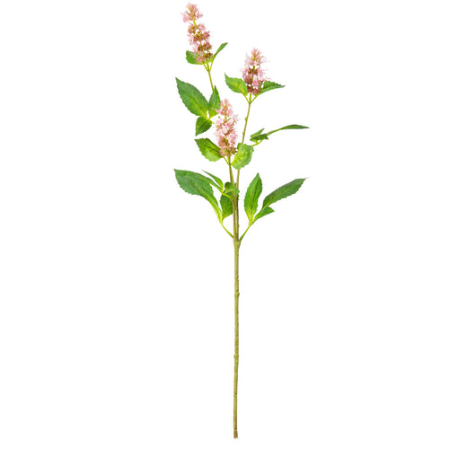 Pogostemon Spray x 3 Light Pink image 0