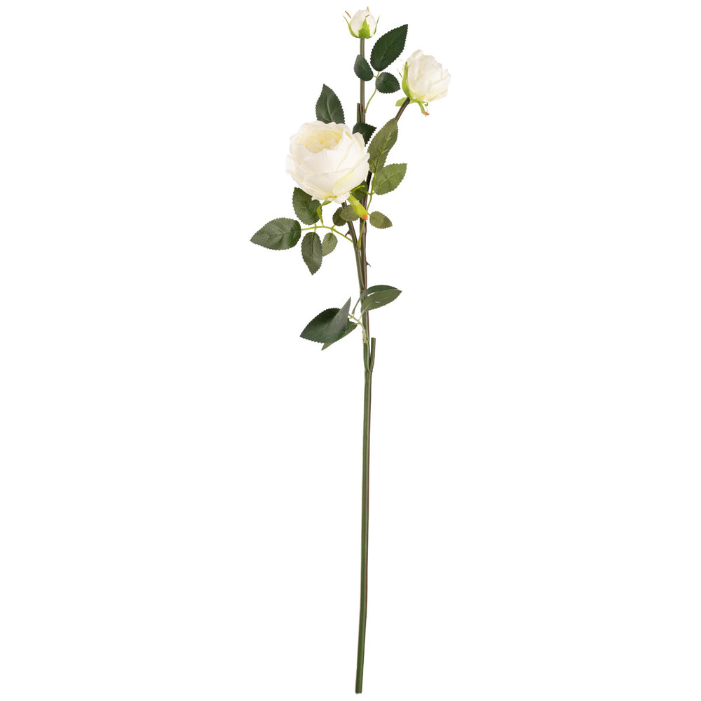 Elizabeth Garden Rose Spray x 3 White image 0