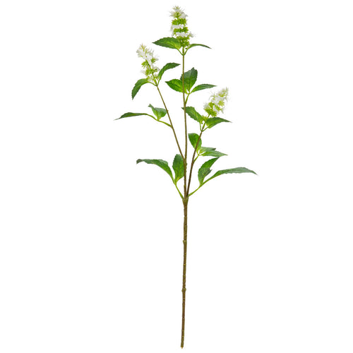 Pogostemon Spray x 3 White image 0