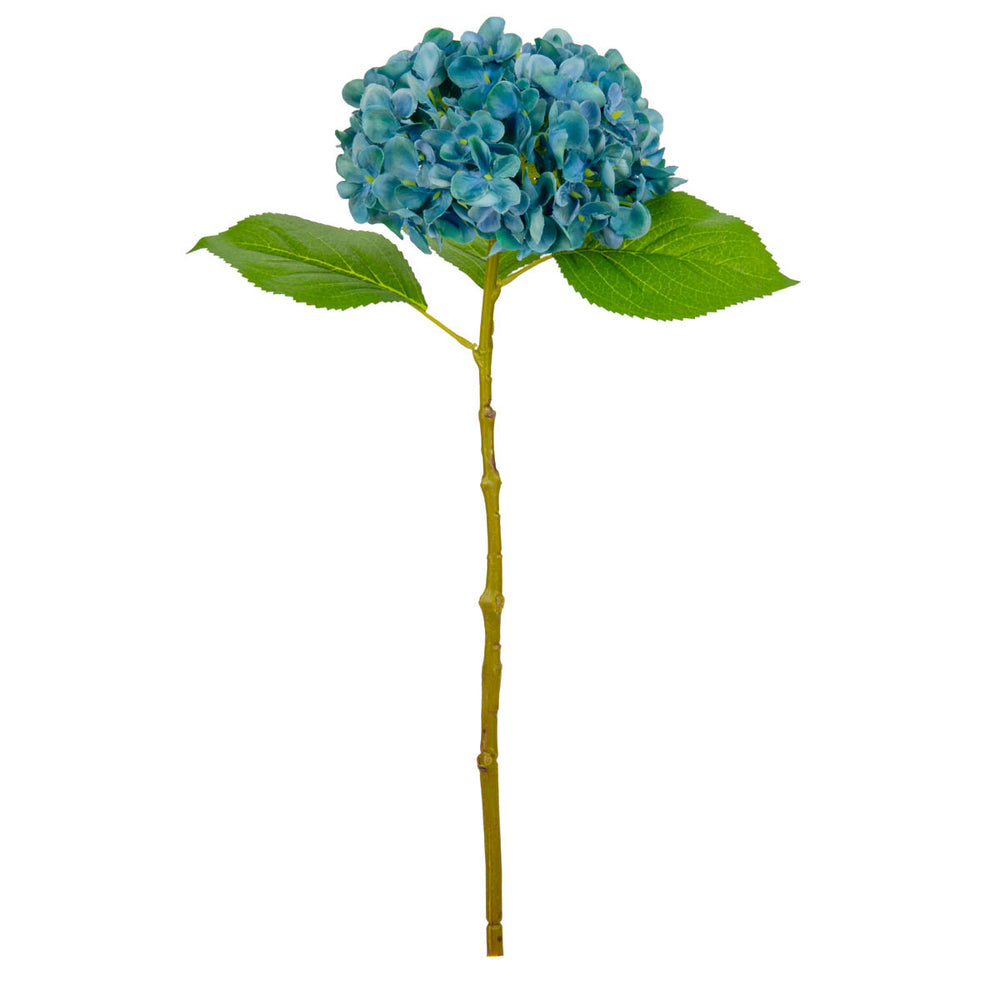 Small Head Hydrangea Blue Green image 0