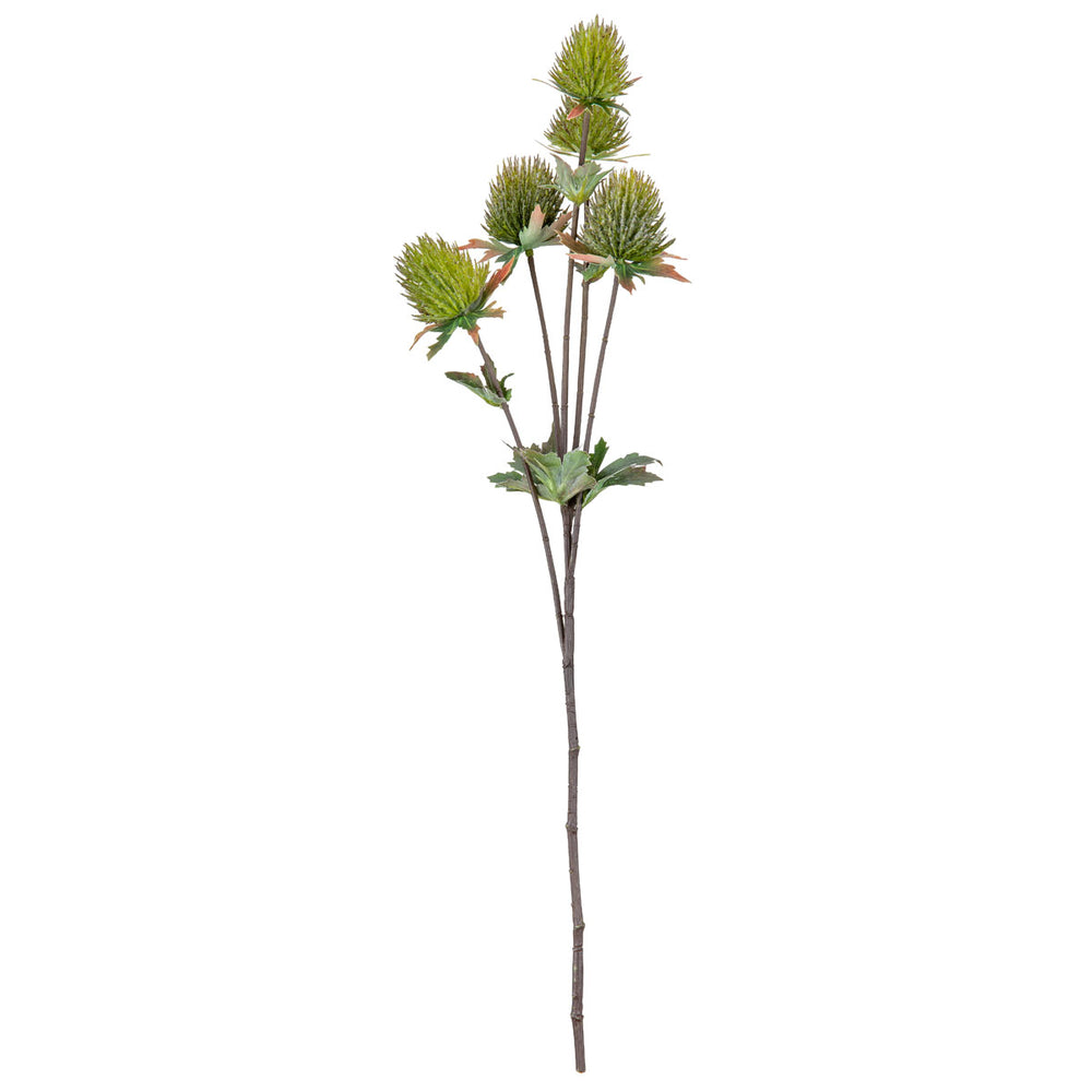 Thistle Spray x 5 Green image 0