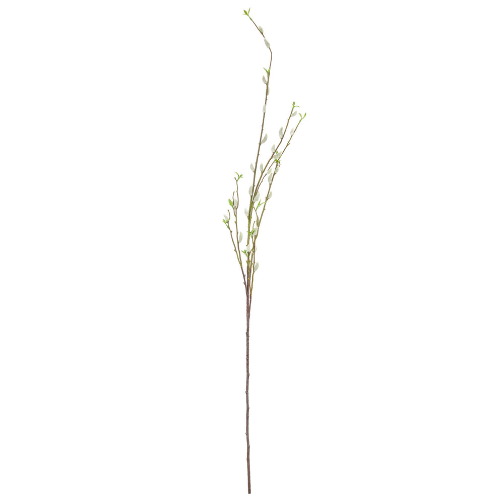 Pussy Willow Spray image 0