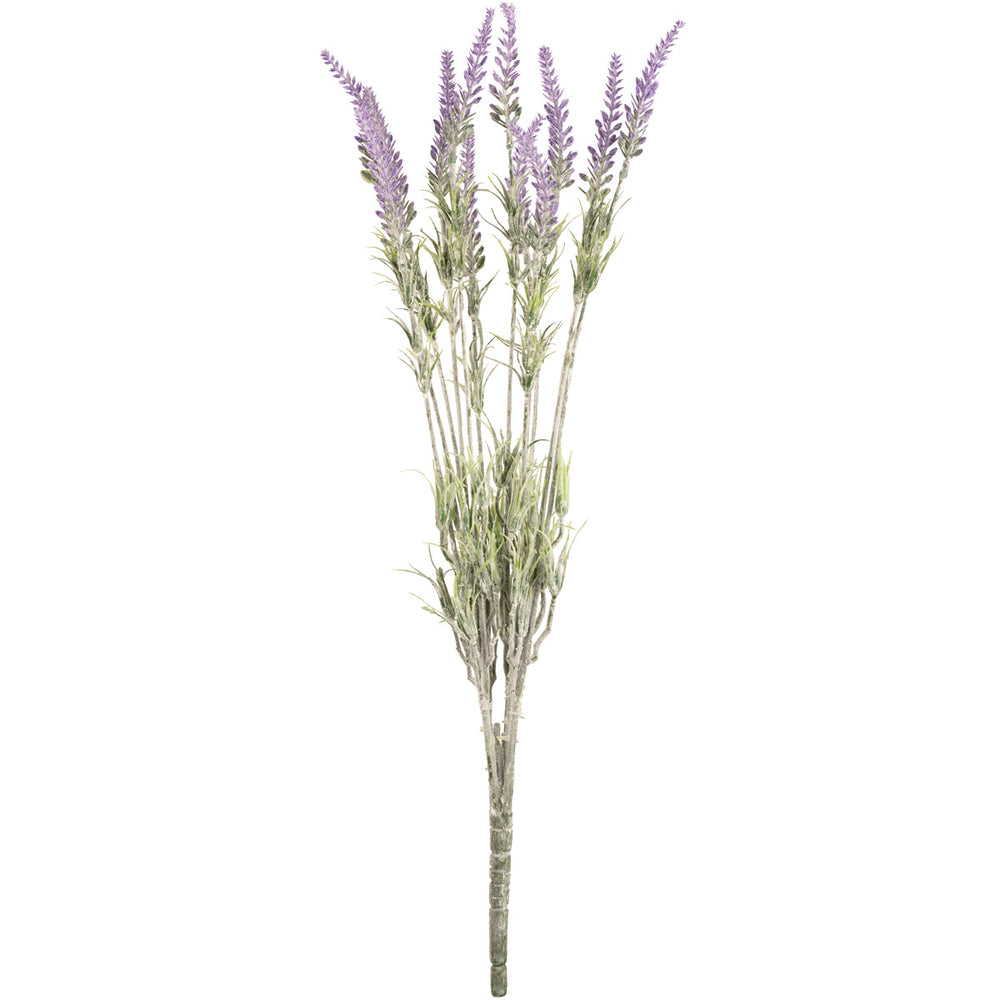 Lavender Bush x 12 Branches image 0