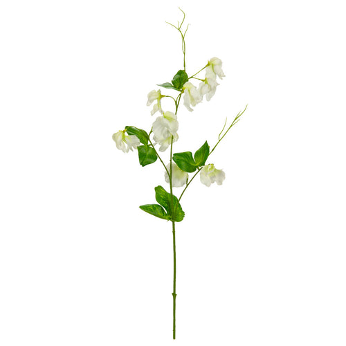 Sweet Pea Spray White image 0
