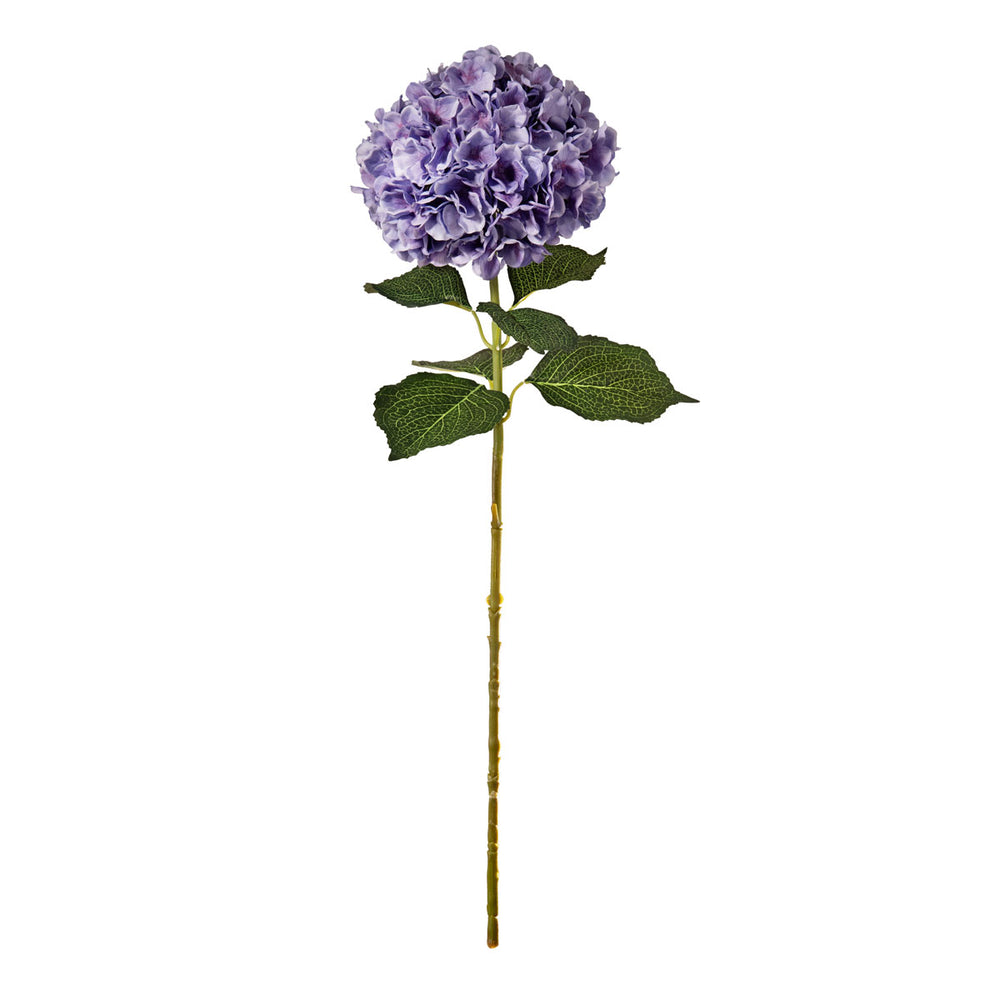 Large Head Hydrangea Lavender image 0
