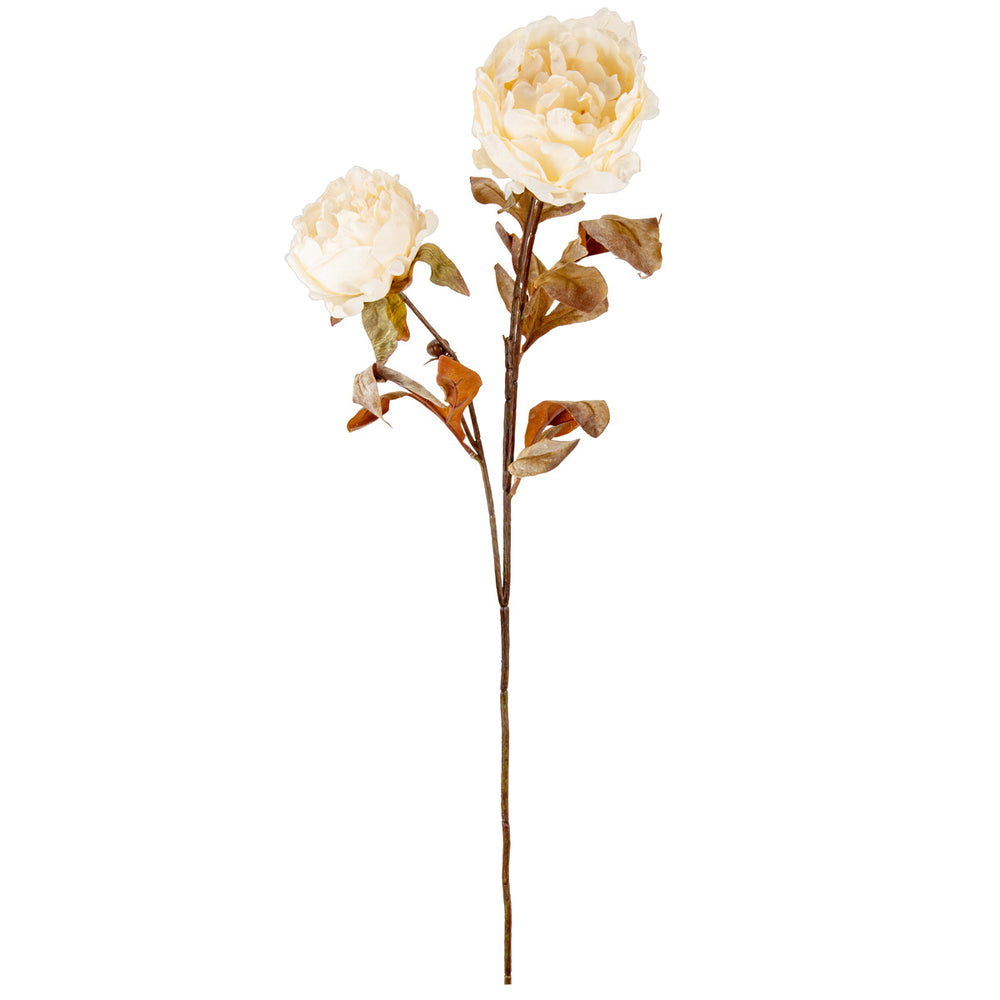 Dry Image Peony Linen White image 0
