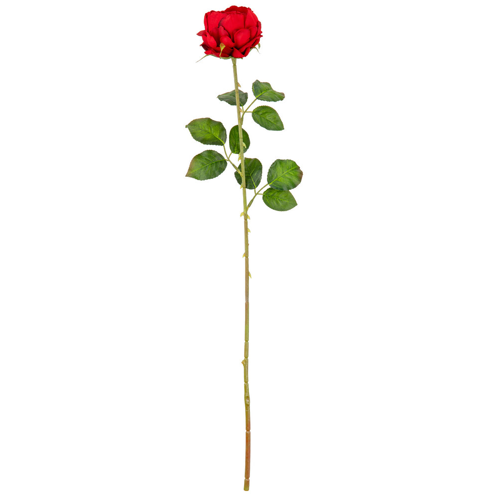 65cm Single Rose Red image 0