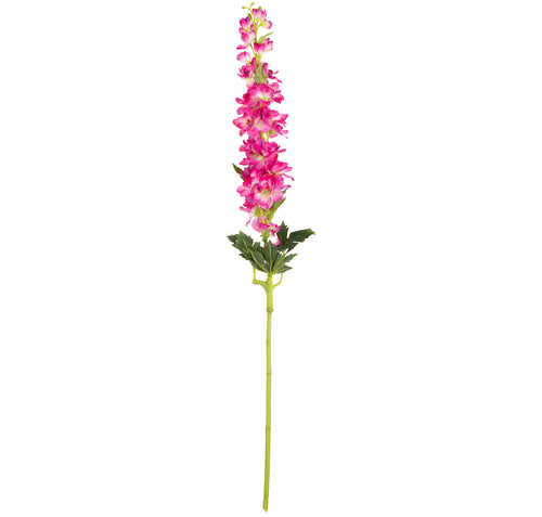 Delphinium x 26 Heads 106cm Beauty image 0