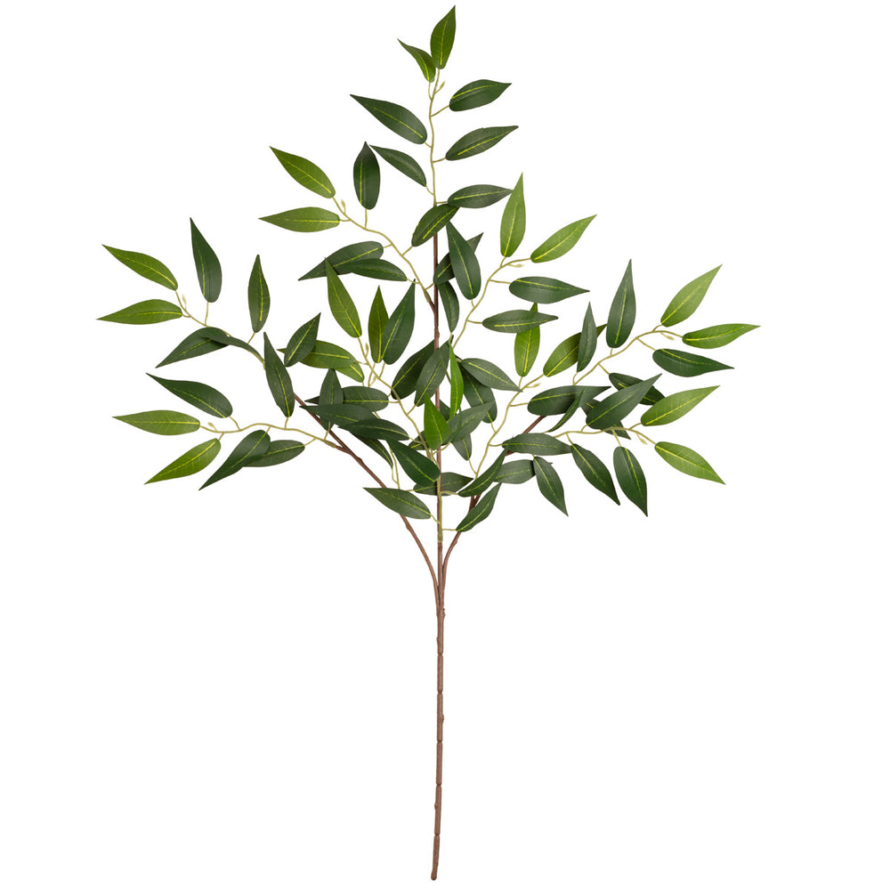 Ruscus Spray image 0