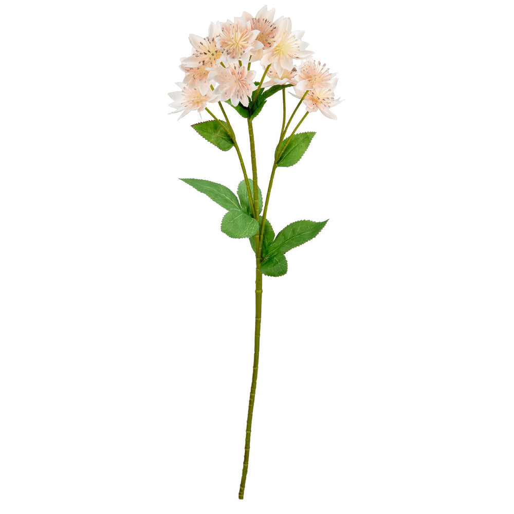 Astrantia Spray 61cm Light Pink image 0