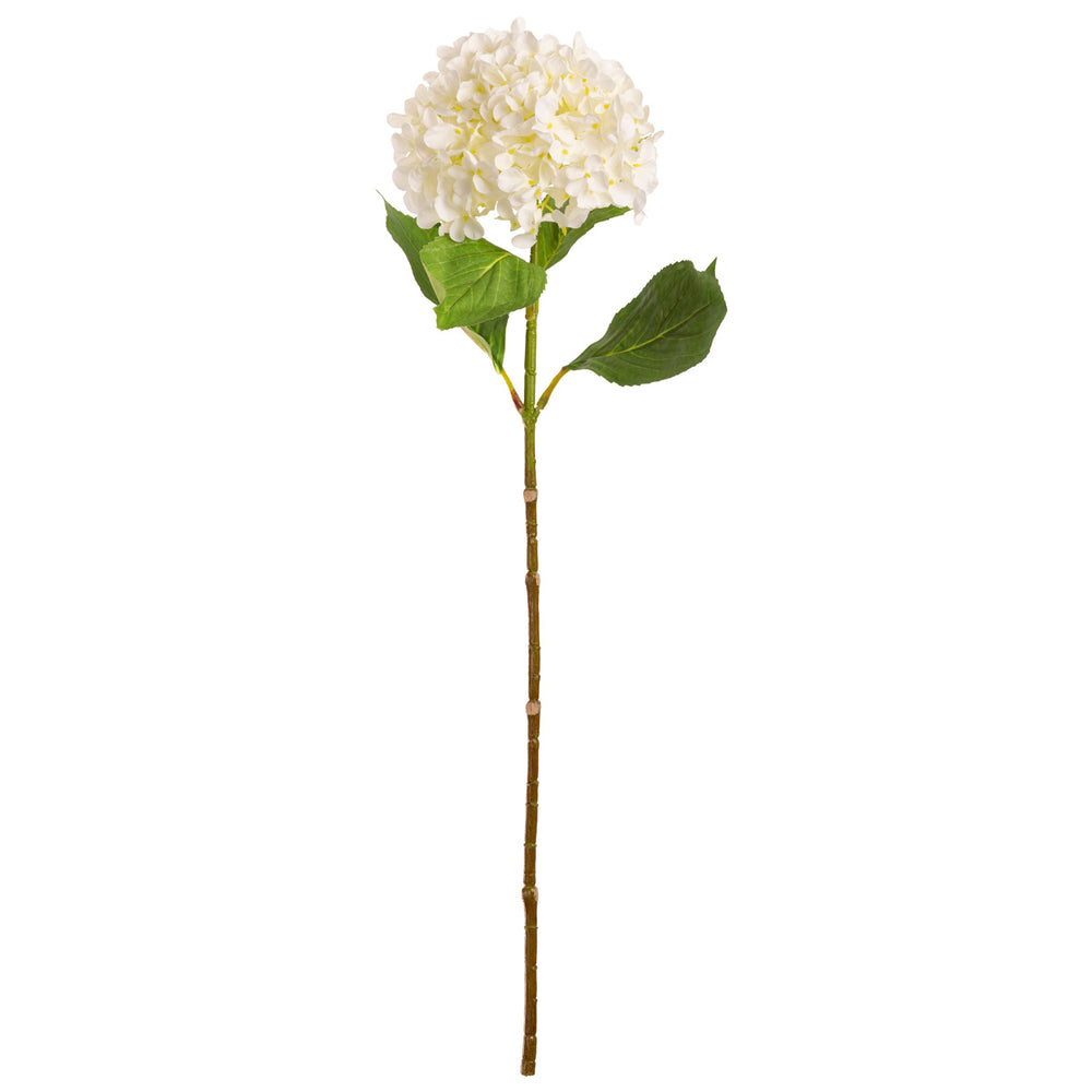 Hydrangea Stem White (19cm Head 66cm Stem) image 0