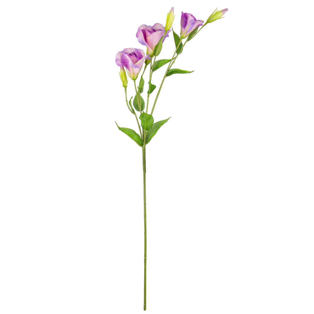 Eleganza Lisianthus Spray x 3 Pink Purple image 0