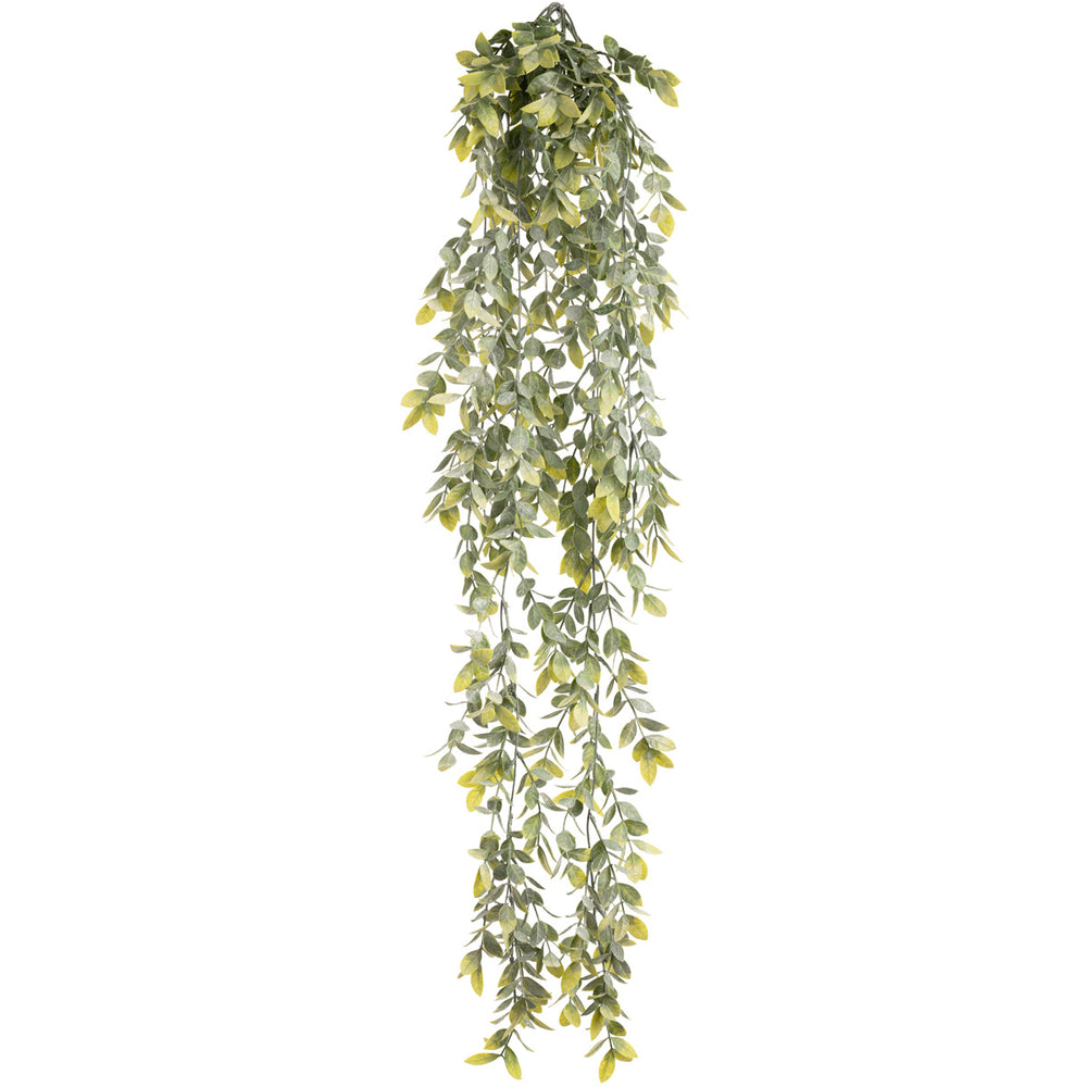 Hanging Plastic Wild Tea Bush image 0