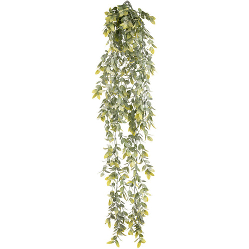 Hanging Plastic Wild Tea Bush image 0