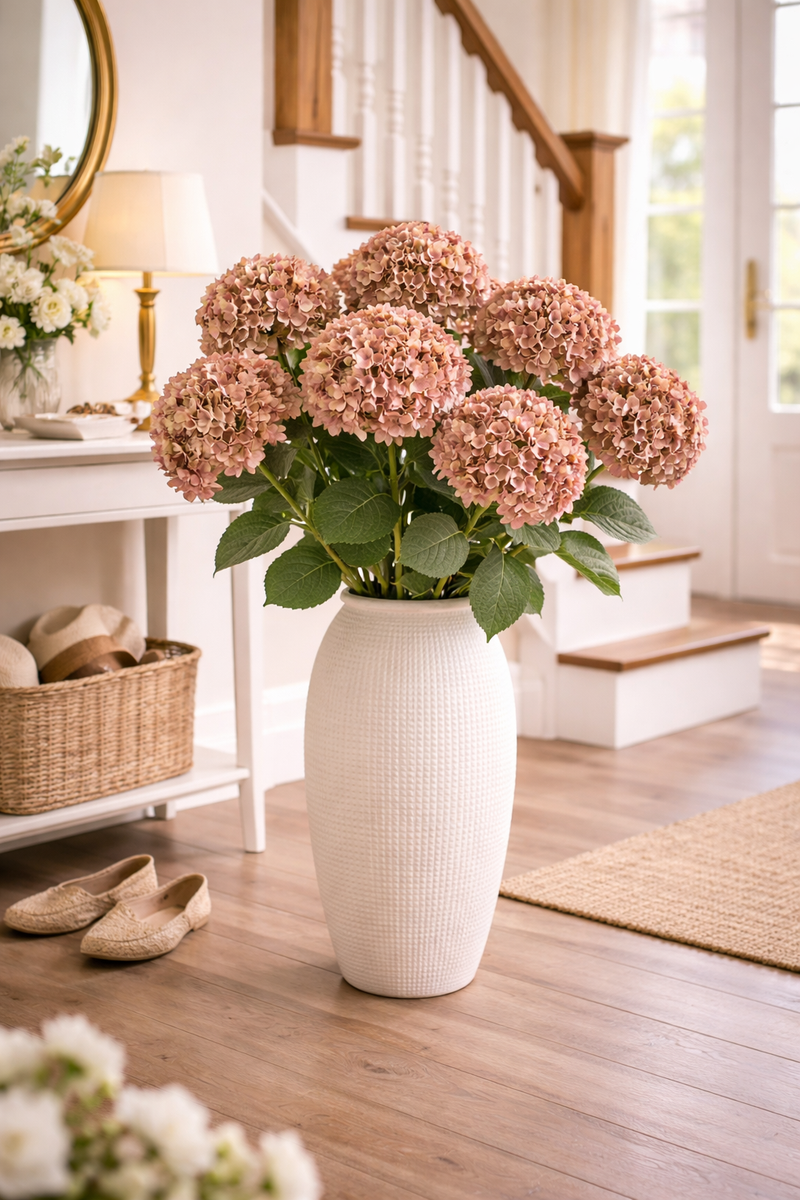 Hydrangea