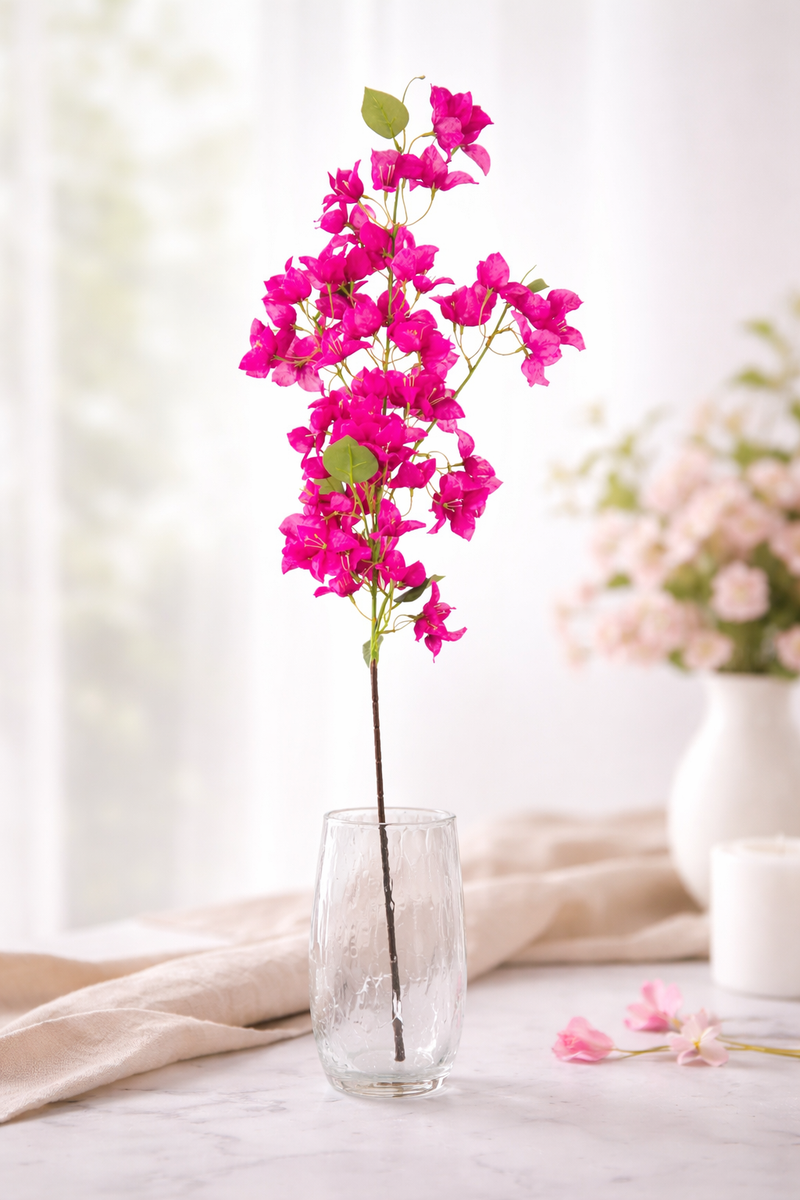 Bougainvillea