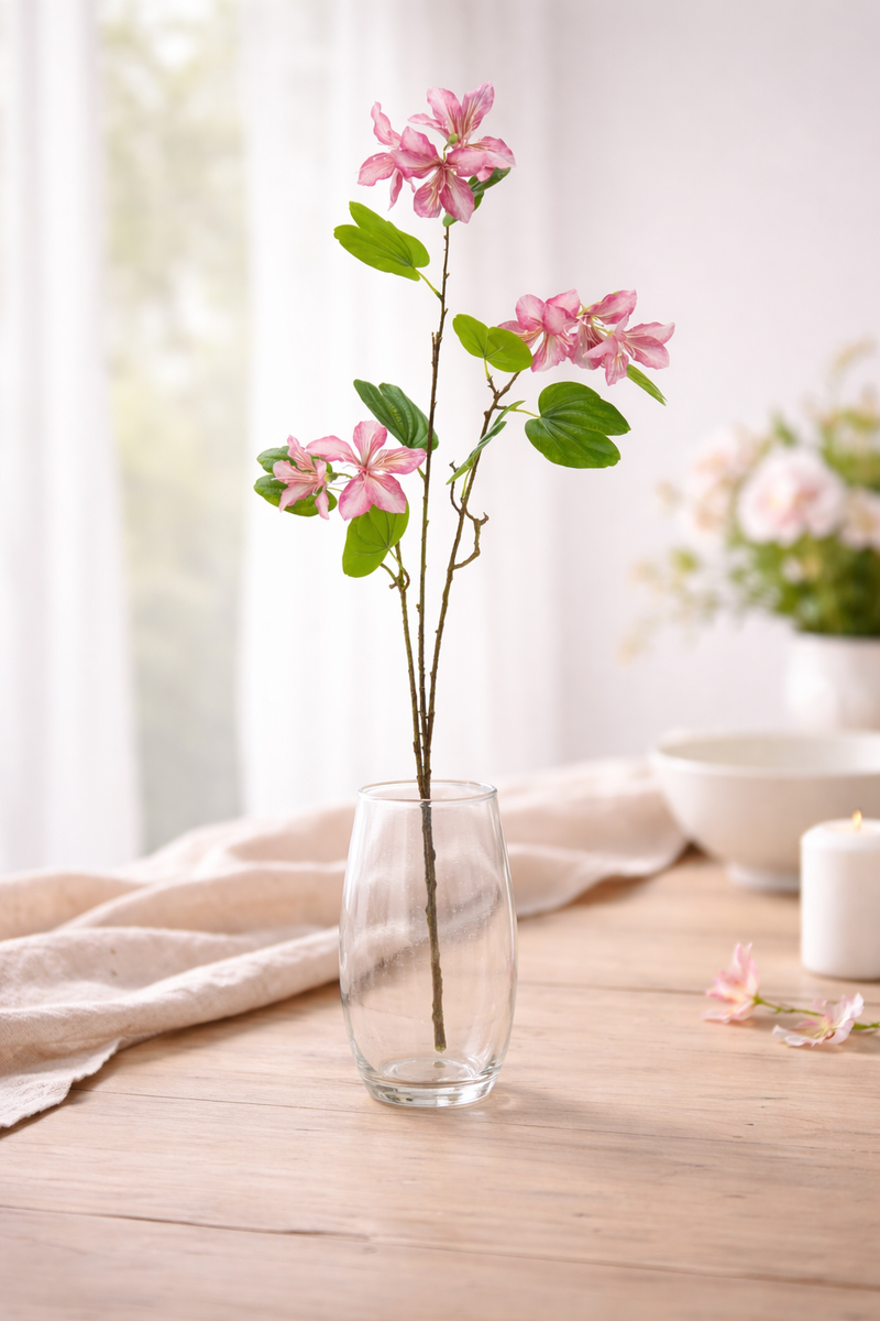 Bauhinia