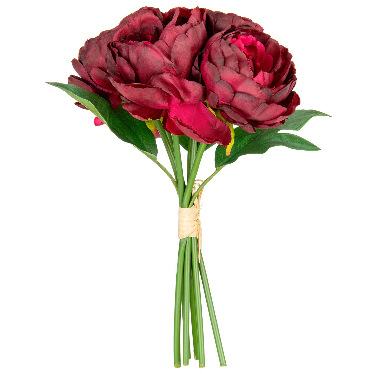 Princess Peony Bunch x 6 Burgundy image 1