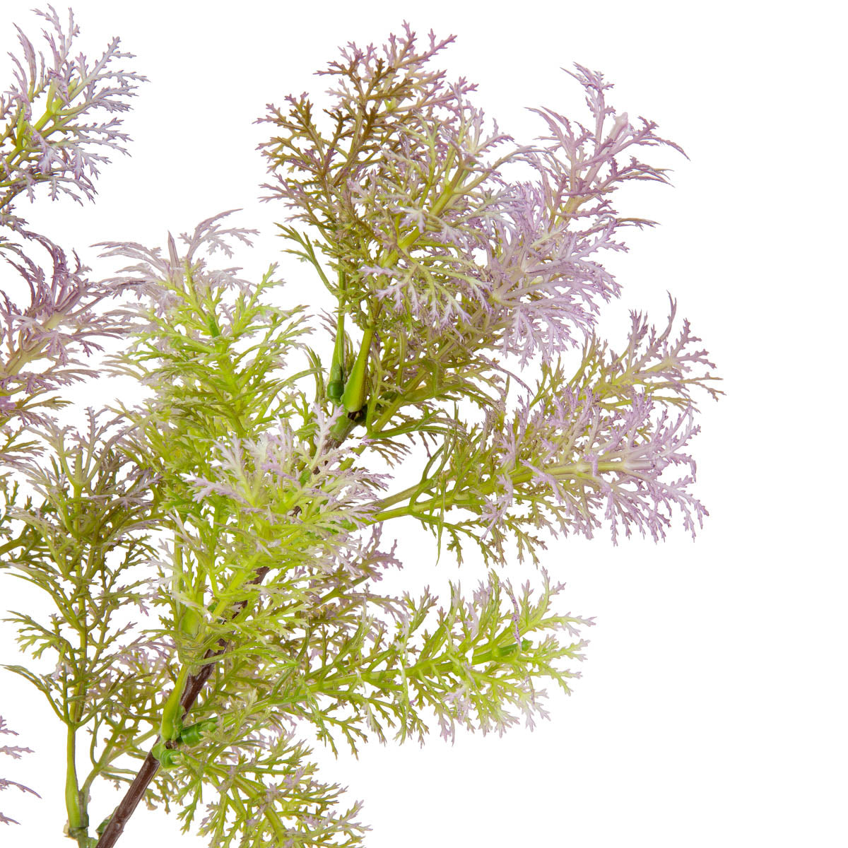 Foliage Spray 72cm Stem Purple image 1