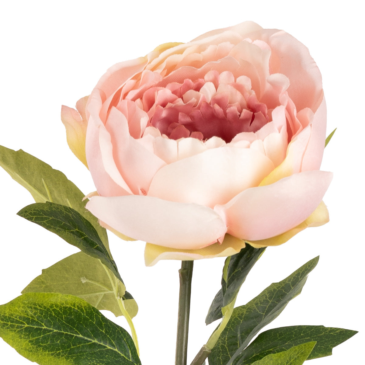 Aurora Peony x 1 Light Pink image 2