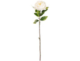 Aurora Peony x 1 White image 0