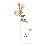 Elizabeth Garden Rose Spray x 3 Light Pink image 1