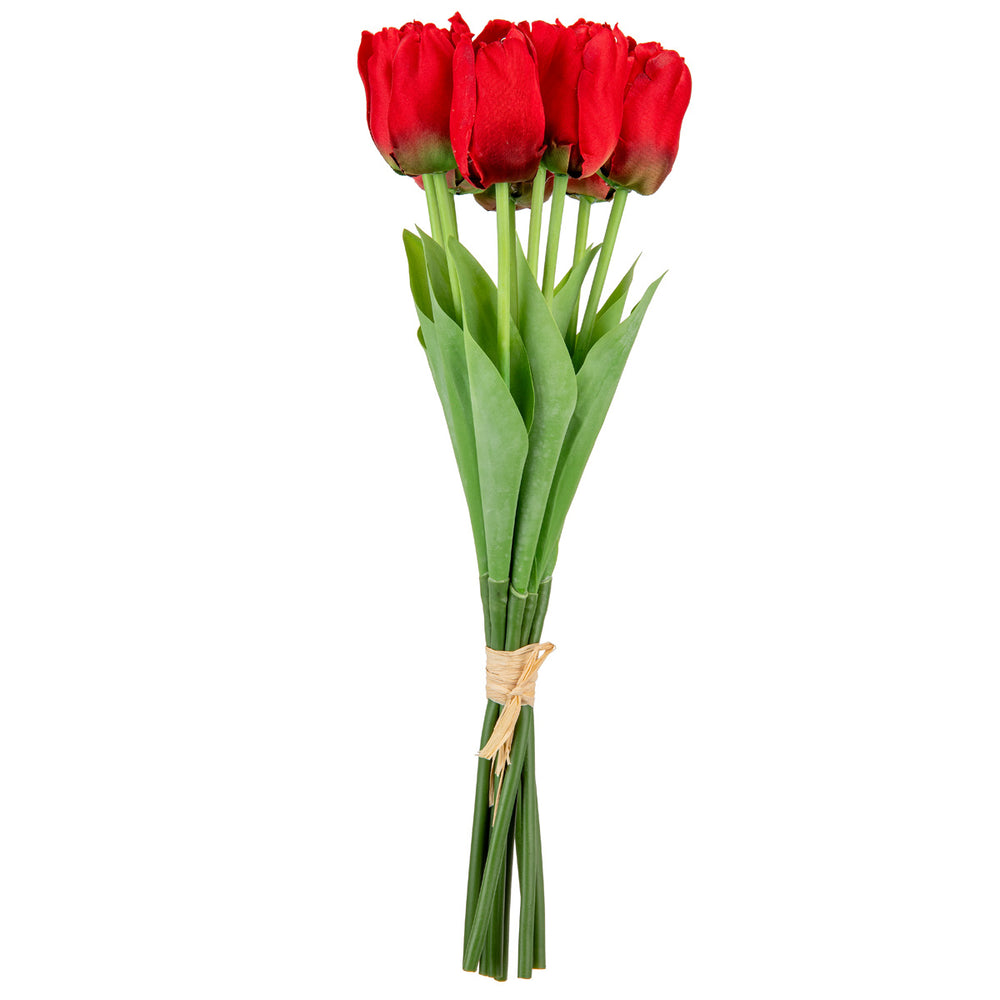 Tulip Bunch x 9 Red image 0