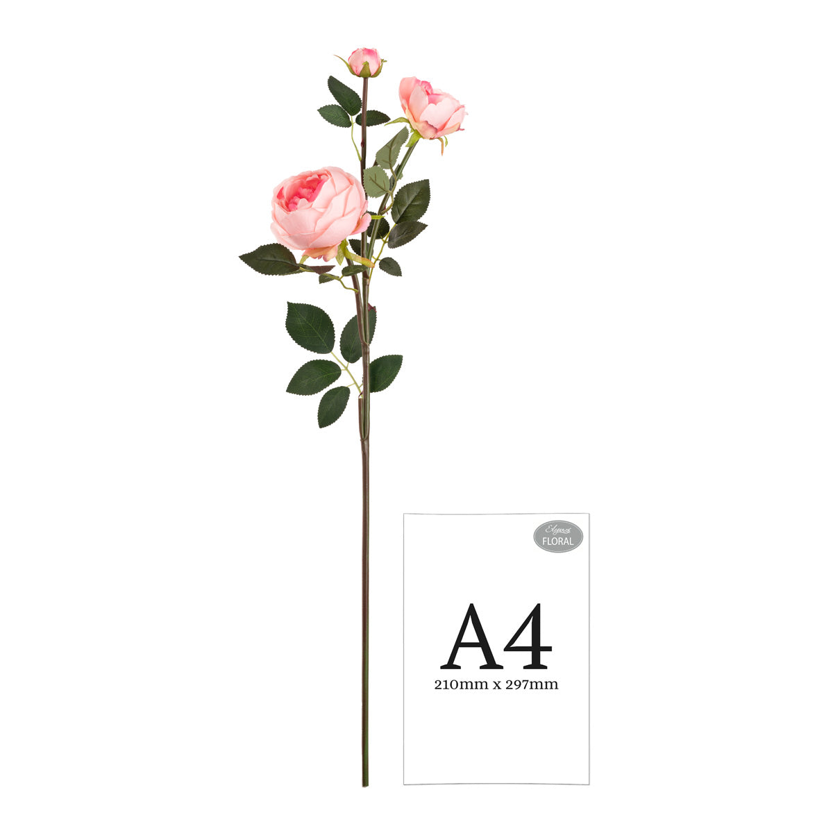 Elizabeth Garden Rose Spray x 3 Dark Pink image 1