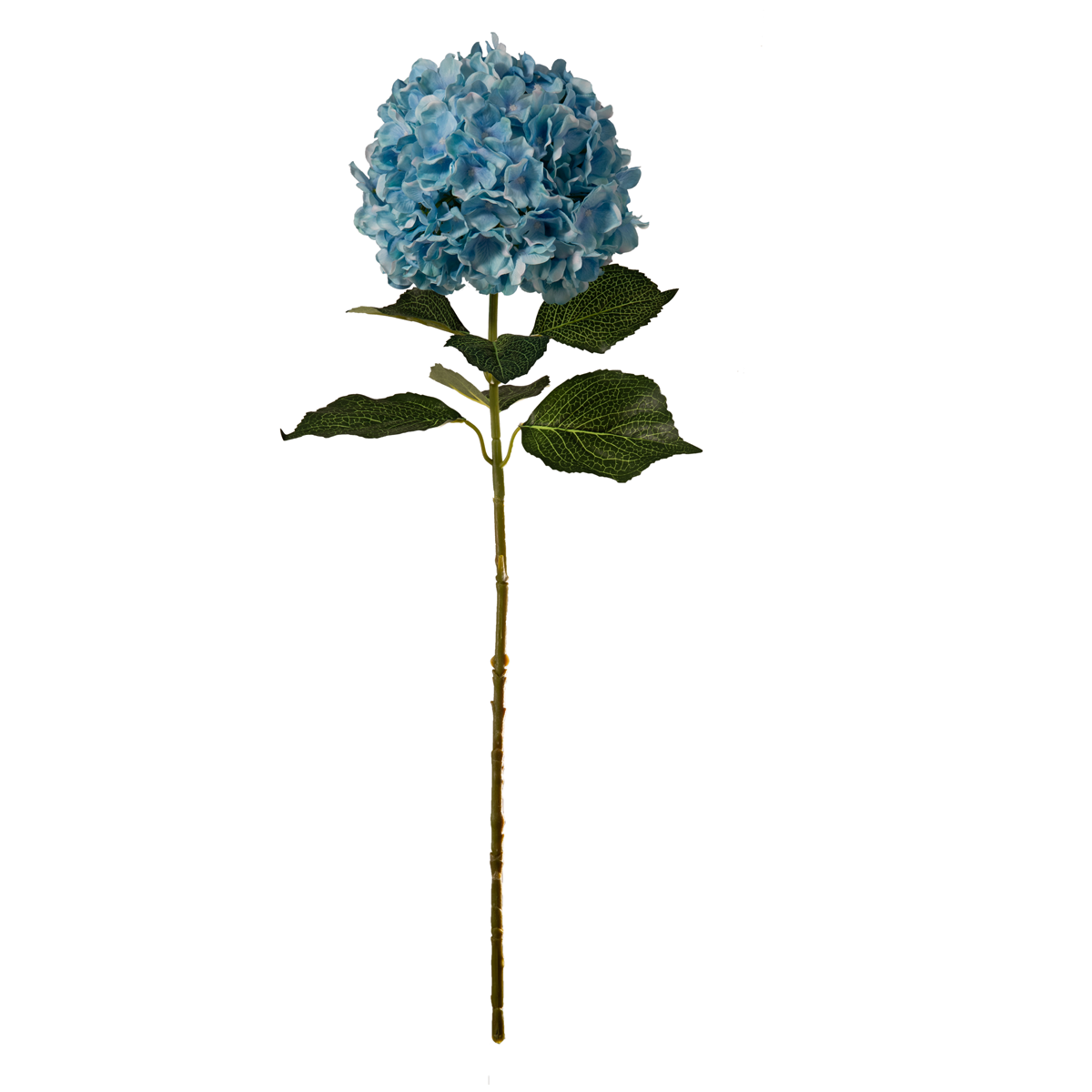 Large Head Hydrangea Light Blue 92cm image 0