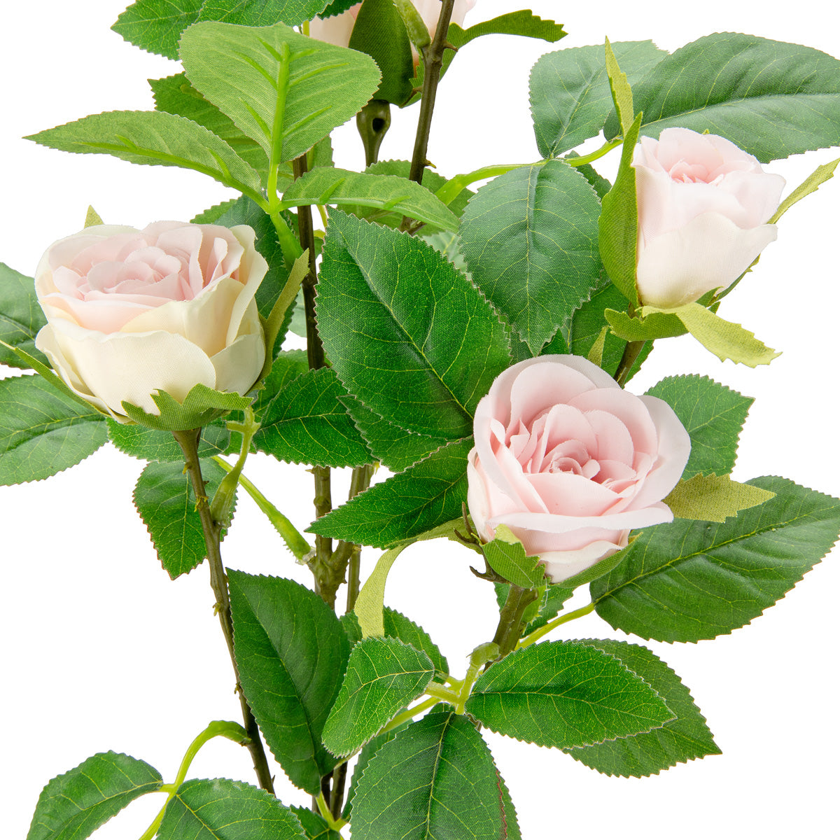 Rose Spray with 6 heads Cream/Light Pink image 1