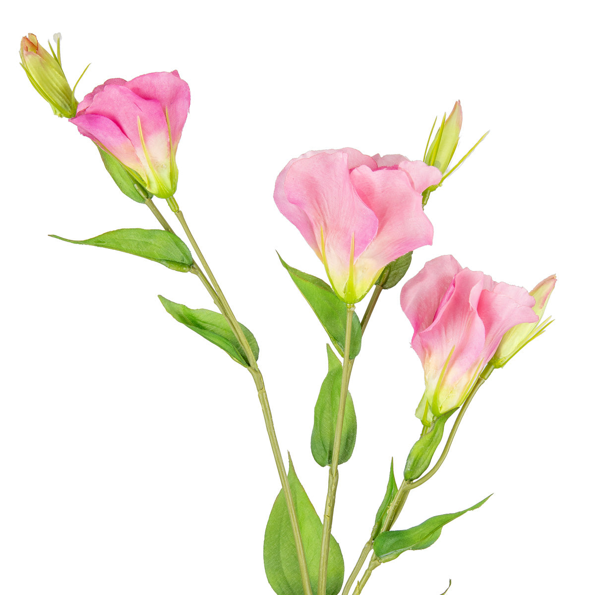 Eleganza Lisianthus Spray x 3 Dark Pink image 1