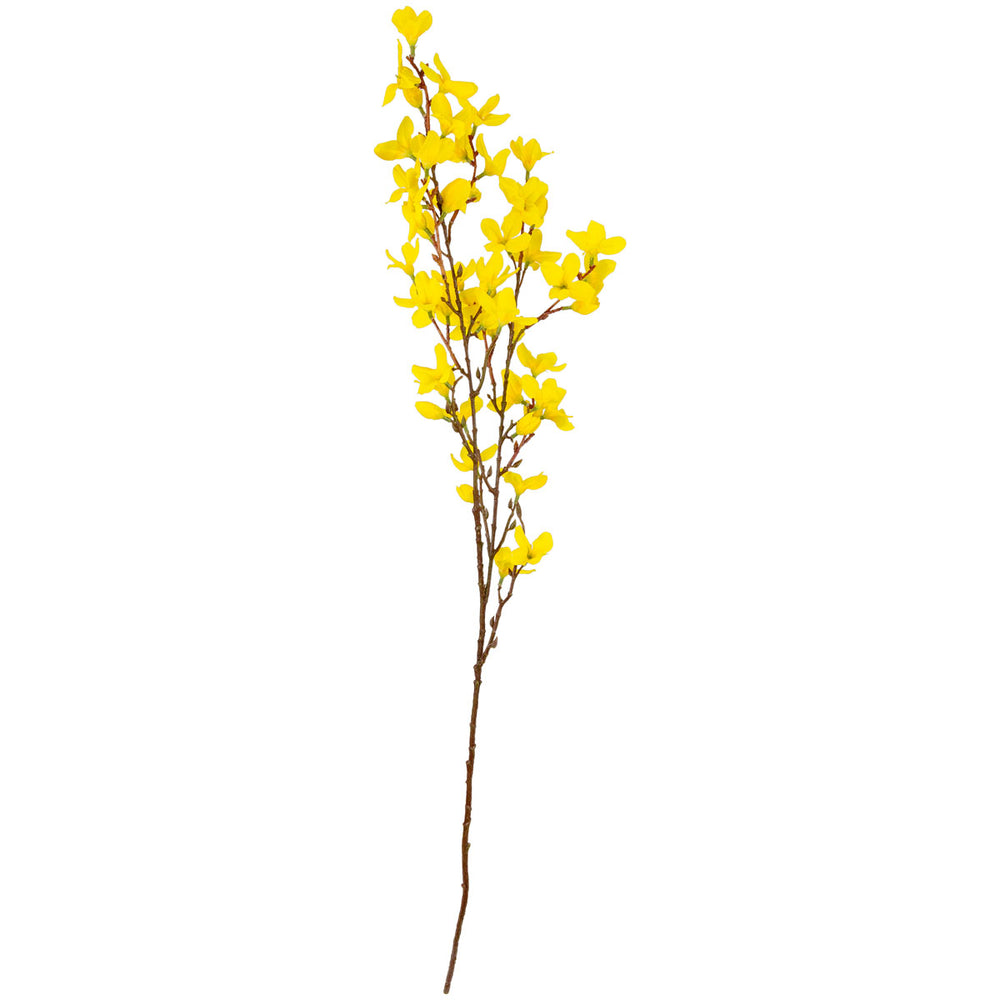 Forsythia Stem Yellow image 0