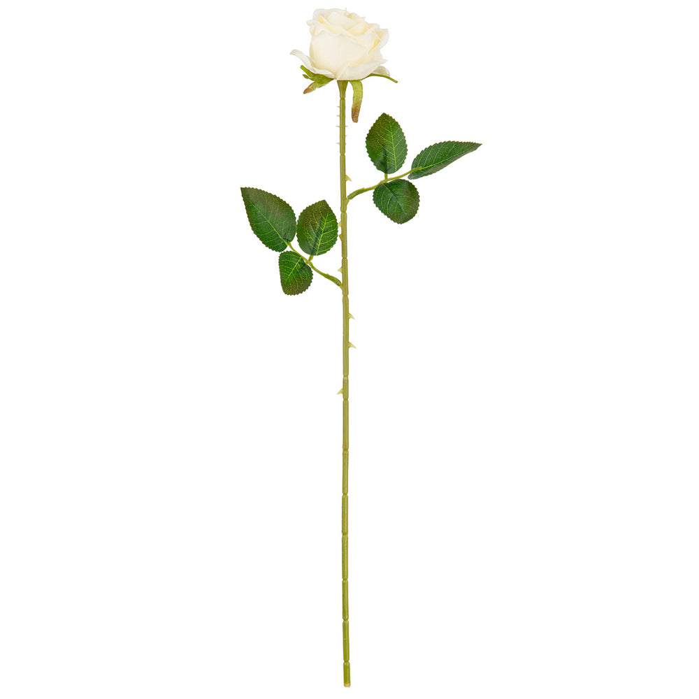 Gabriella Single Rose Cream 53cm image 0