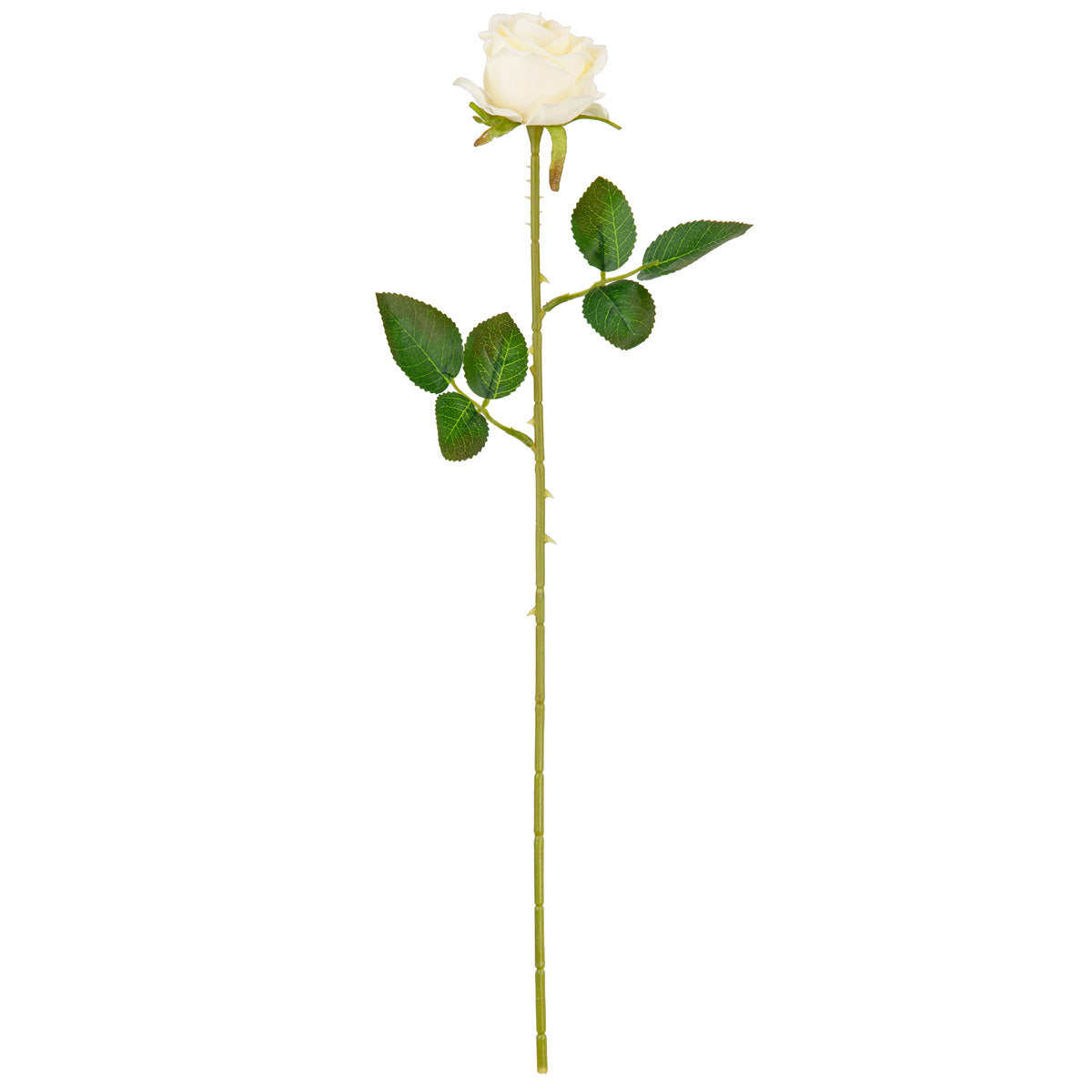 Gabriella Single Rose Cream 53cm image 0