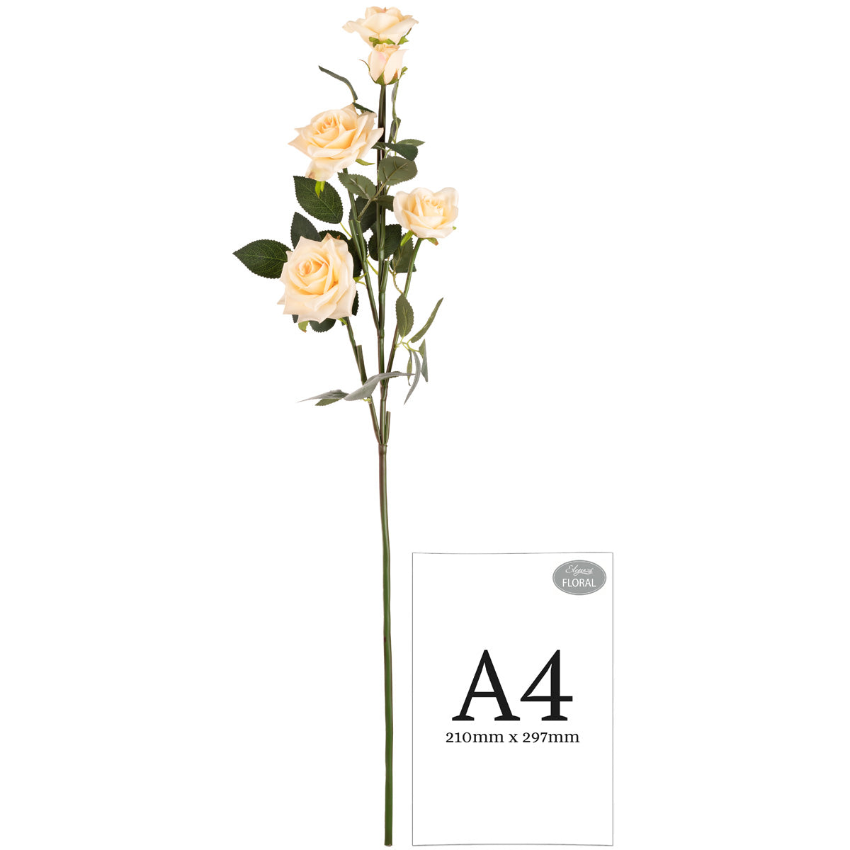 Large Diana Rose Spray x 5 Nude image 2