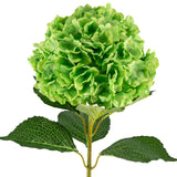 Large Head Hydrangea Green 92cm image 2