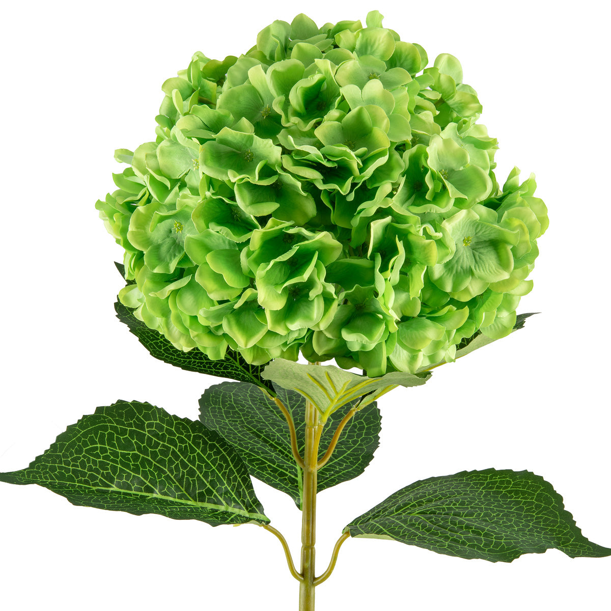 Large Head Hydrangea Green 92cm image 2