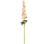 Delphinium x 26 Heads 106cm Pink image 0